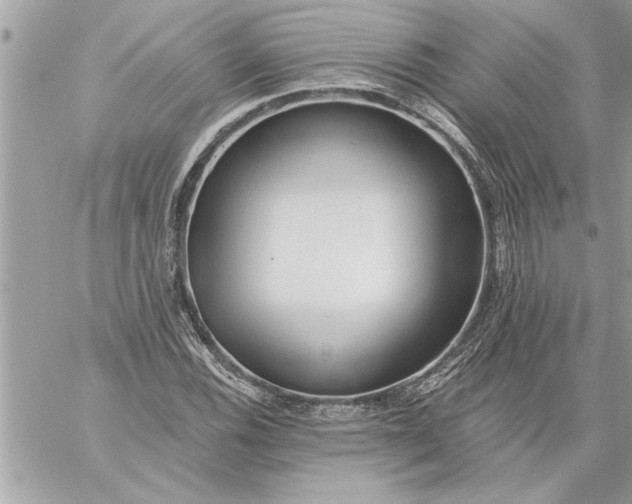 X0000059061116200510171932