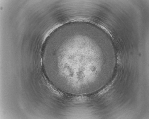 X0000059061117200510171932