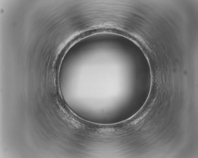 X0000059061118200510171932