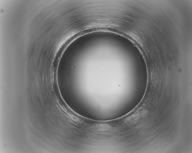 X0000059061119200510171932