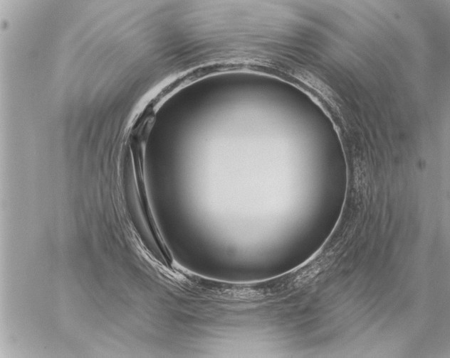 X0000059061120200510171932