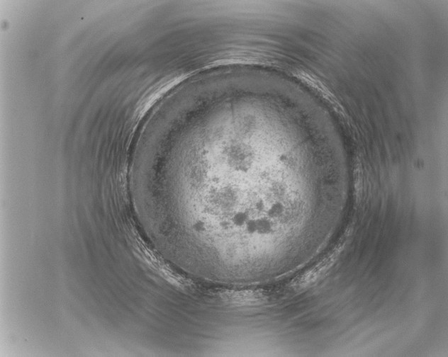 X0000059061121200510171932