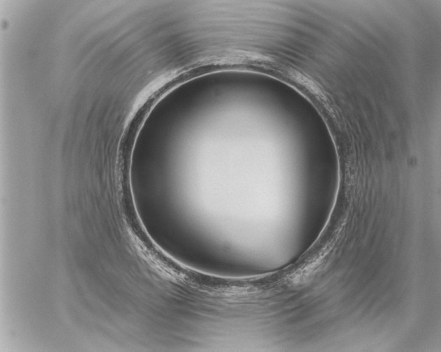 X0000059061122200510171932