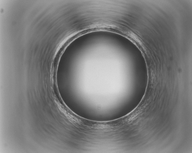 X0000059061124200510171932