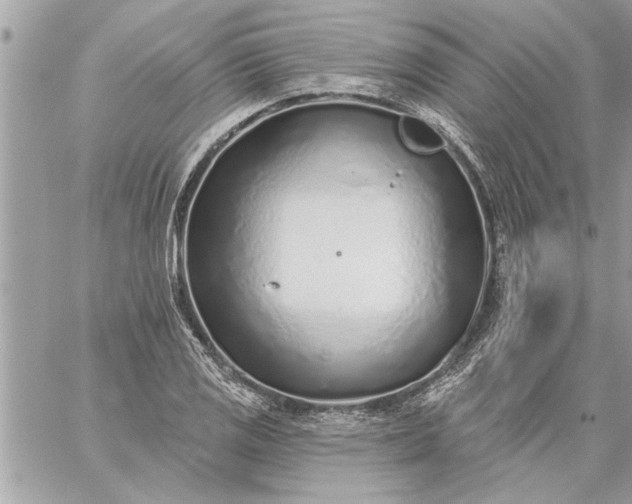 X0000059061125200510171932