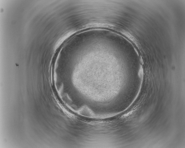 X0000059061127200510171932