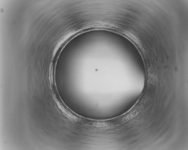 X0000059061128200510171932