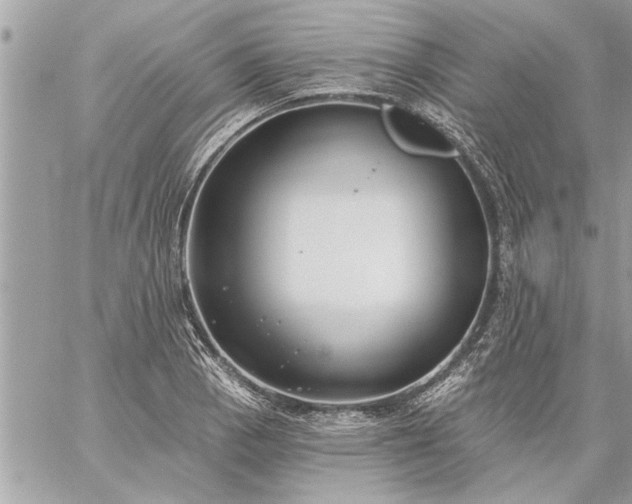 X0000059061129200510171932