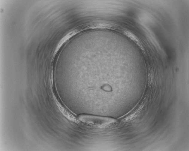 X0000059061130200510171932