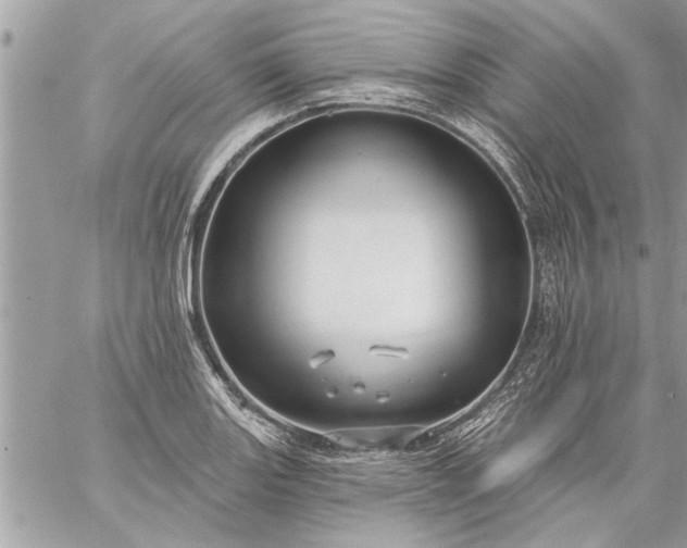 X0000059061131200510171932