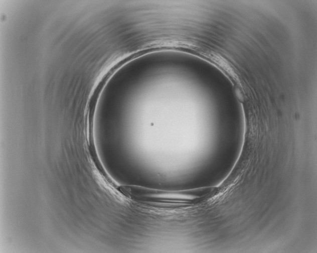 X0000059061132200510171933