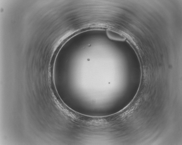 X0000059061133200510171933