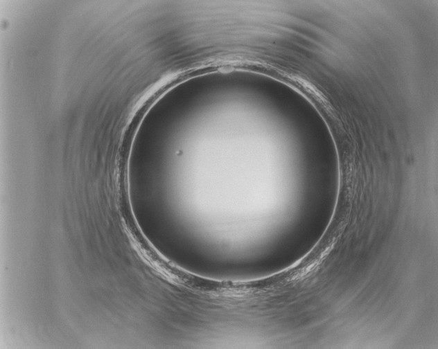 X0000059061134200510171933