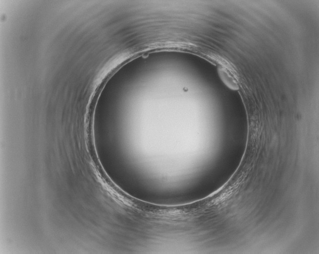 X0000059061135200510171933