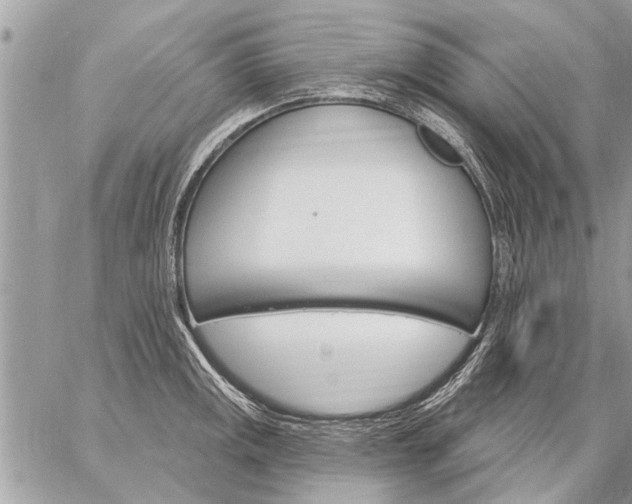 X0000059061141200510171933