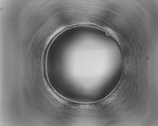 X0000059061142200510171933