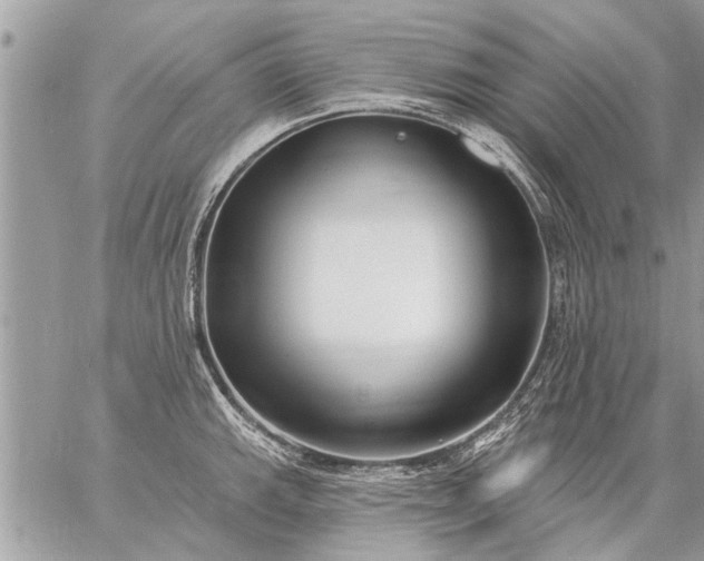 X0000059061143200510171933