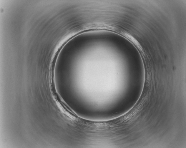 X0000059061144200510171933