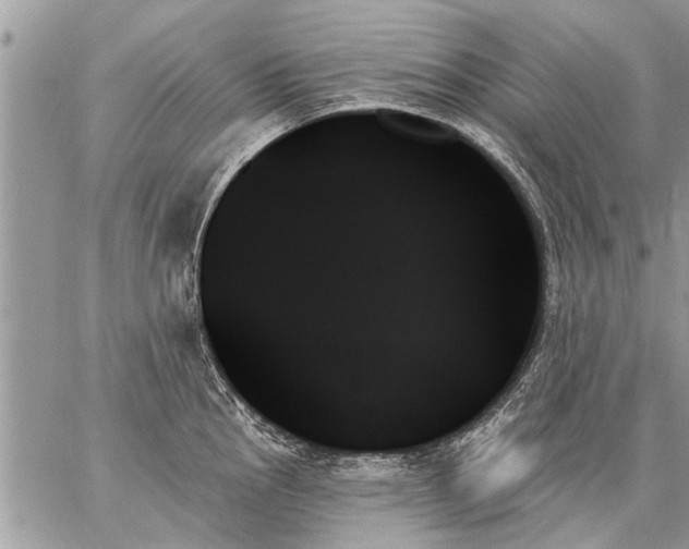 X0000059061145200510171933