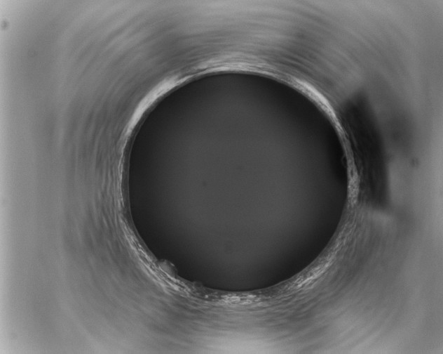 X0000059061146200510171933