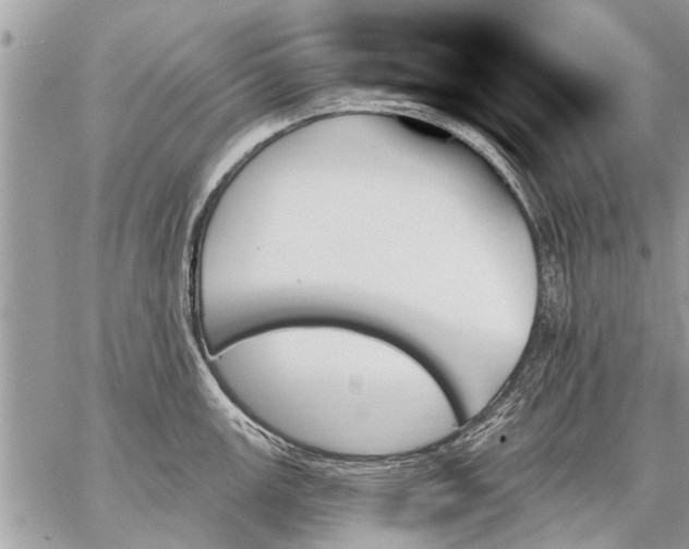 X0000059061147200510171933