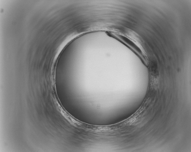 X0000059061148200510171933