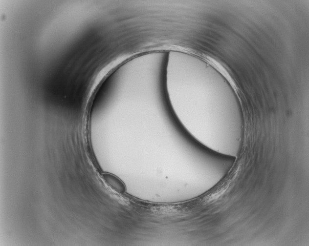 X0000059061149200510171933