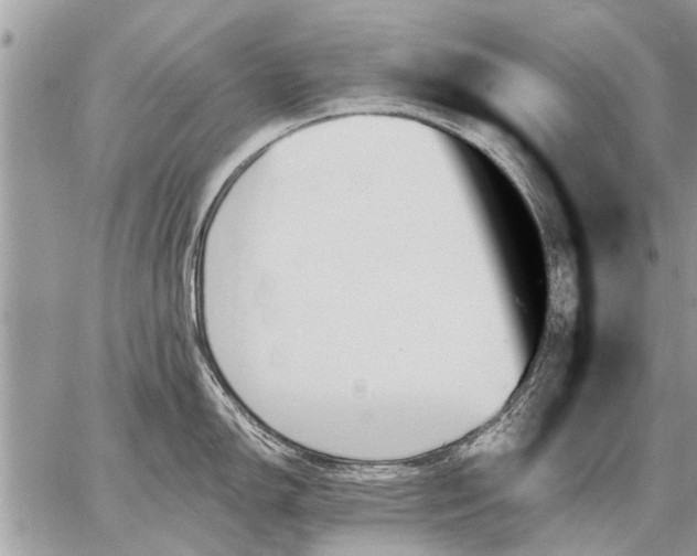 X0000059061150200510171933