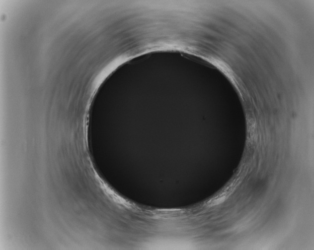 X0000059061151200510171933