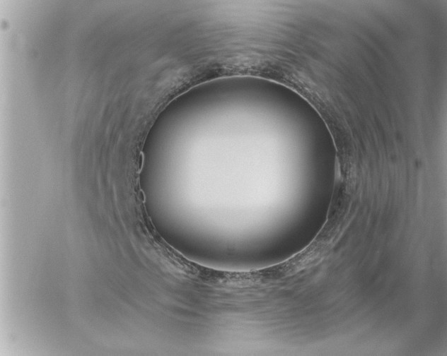 X0000059061153200510171932