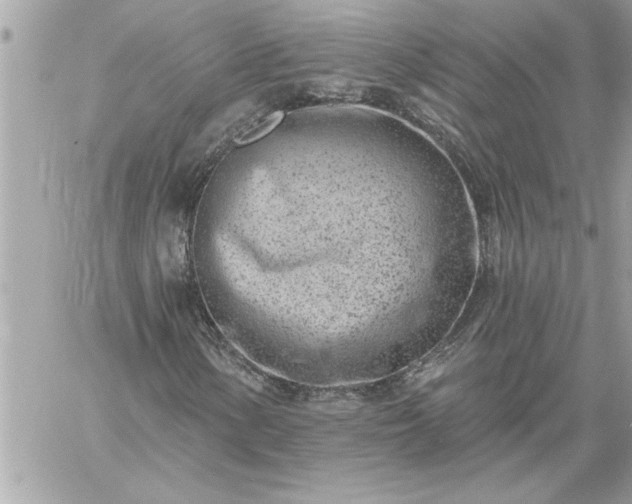 X0000059061154200510171932