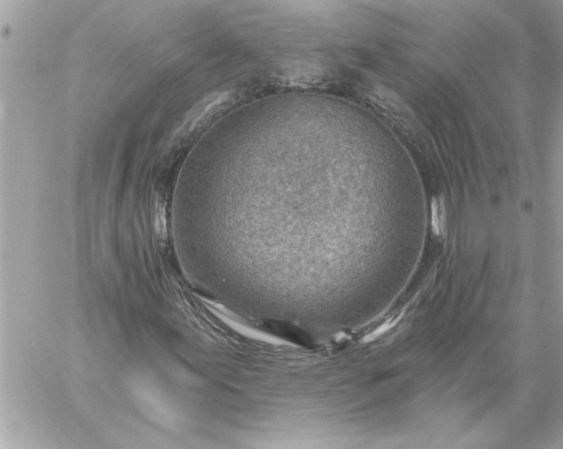 X0000059061155200510171932