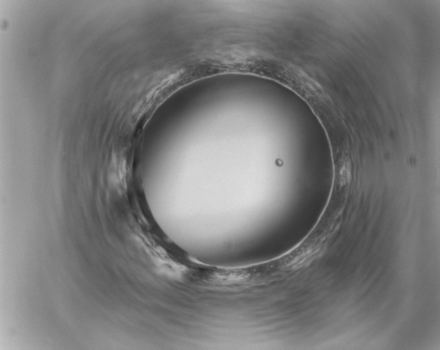 X0000059061156200510171932