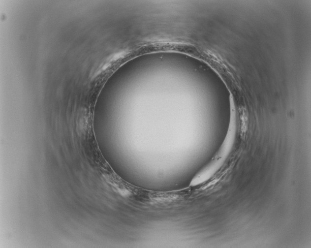 X0000059061157200510171932