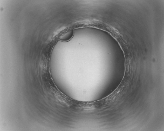 X0000059061158200510171932