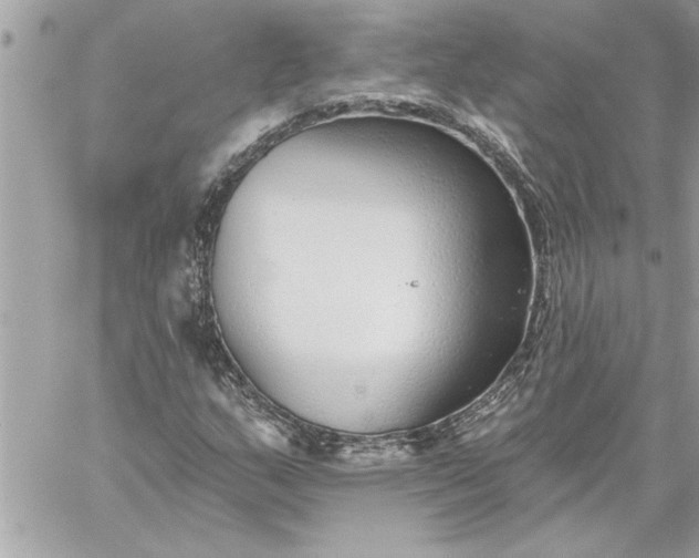 X0000059061159200510171932