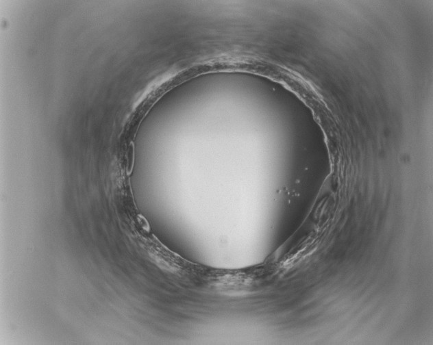 X0000059061160200510171932