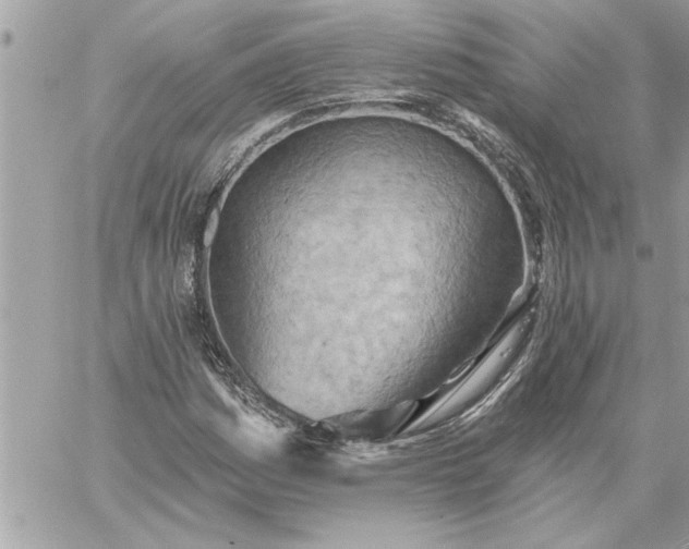 X0000059061161200510171932