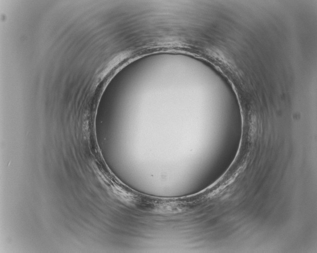 X0000059061162200510171932