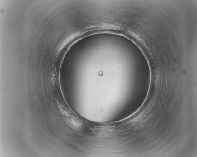 X0000059061163200510171932