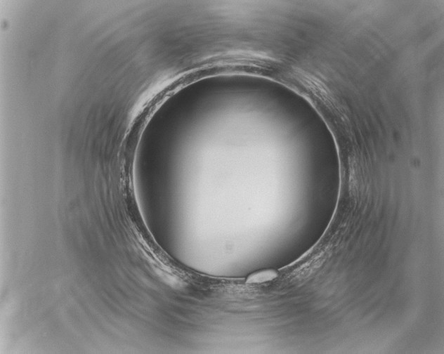 X0000059061164200510171932