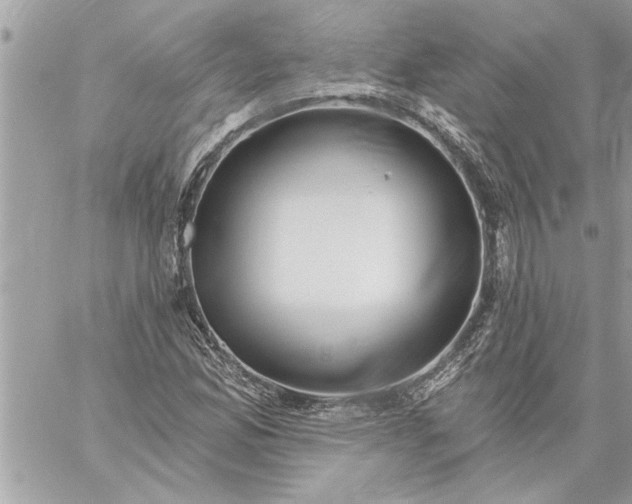 X0000059061165200510171932