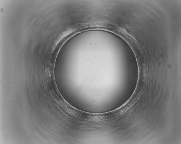 X0000059061166200510171932