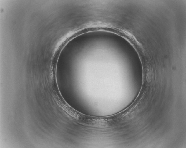 X0000059061167200510171932