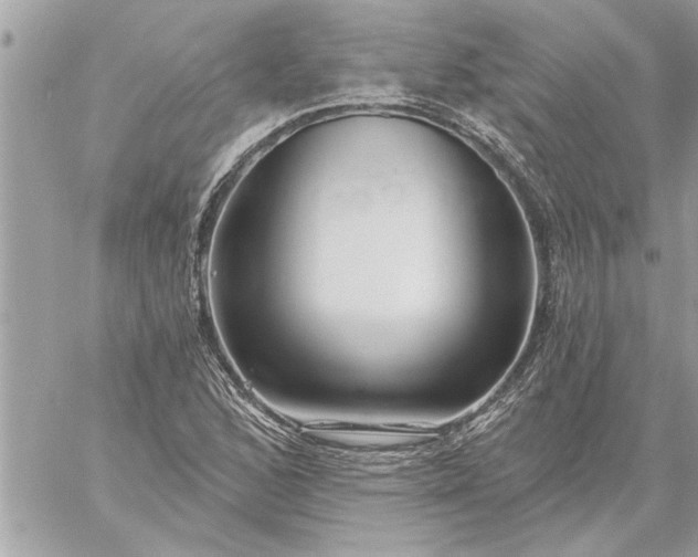 X0000059061168200510171932