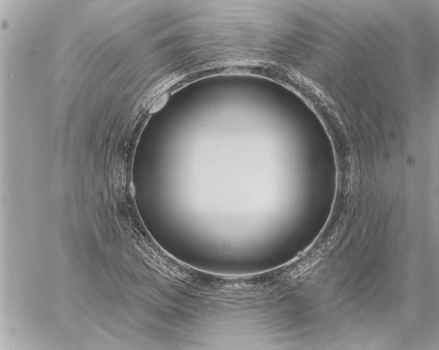 X0000059061169200510171932