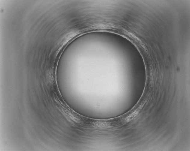 X0000059061170200510171932