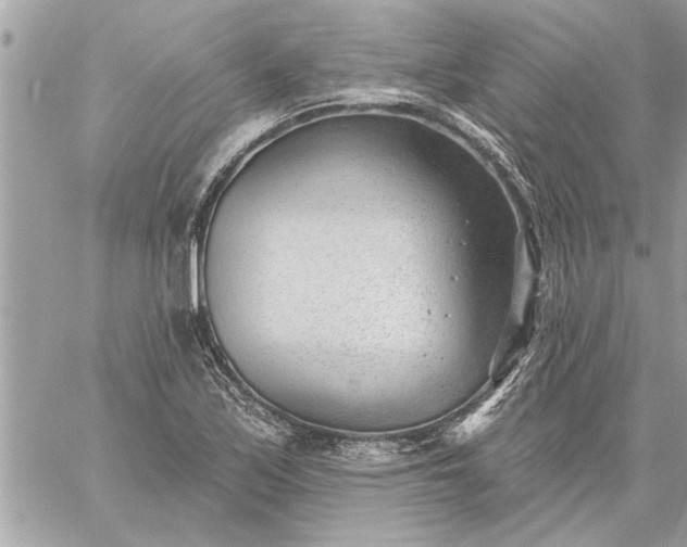 X0000059061171200510171932