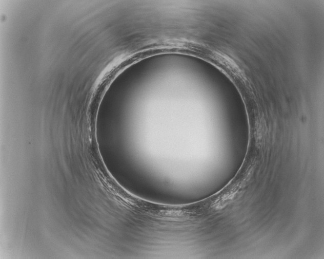 X0000059061172200510171932