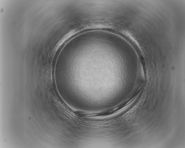 X0000059061173200510171932